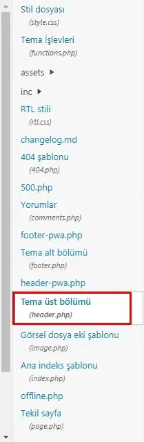 Google Aramalarda Favicon Gösterme