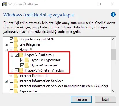 Hyper-V Nasıl Etkinleştirilir ?